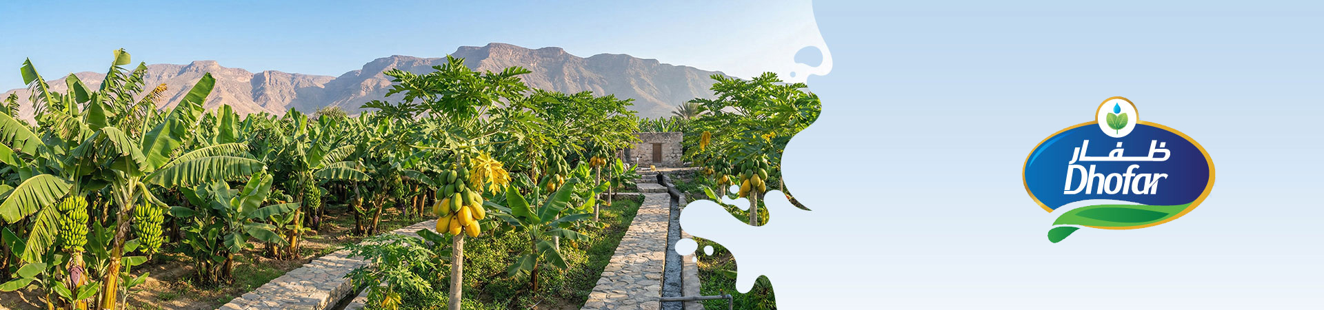 Dhofar Foods & Investment