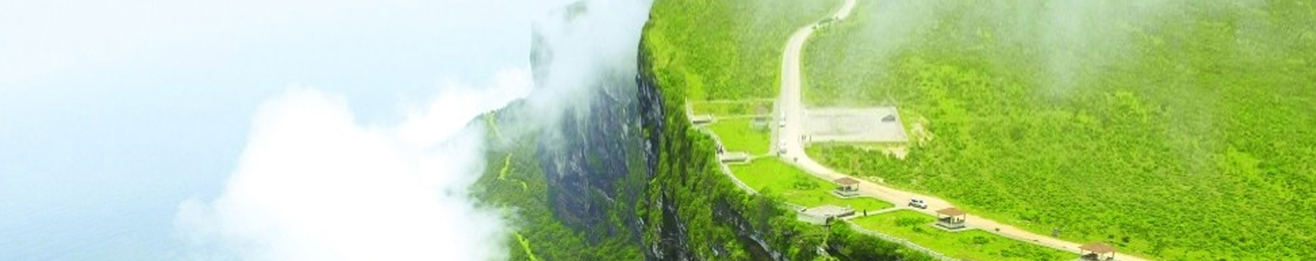 Dhofar Foods & Investment 